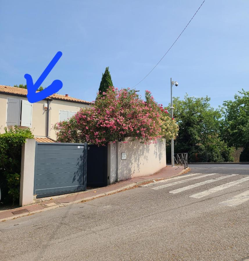 Ferienwohnung Chez Nous Dans Notre Petit Jardin Montpellier Exterior foto